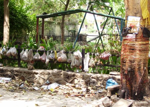plastic-bags-baba Plastic Baba Ki Jai Ho