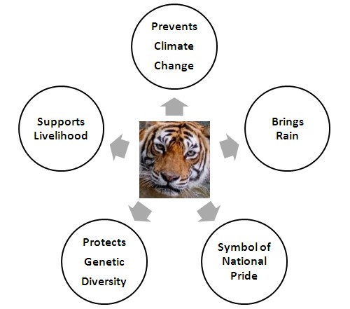 Why we must save the tiger
