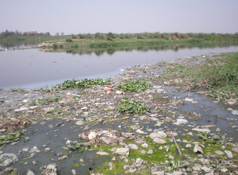 The Challenge of Cleaning the Yamuna