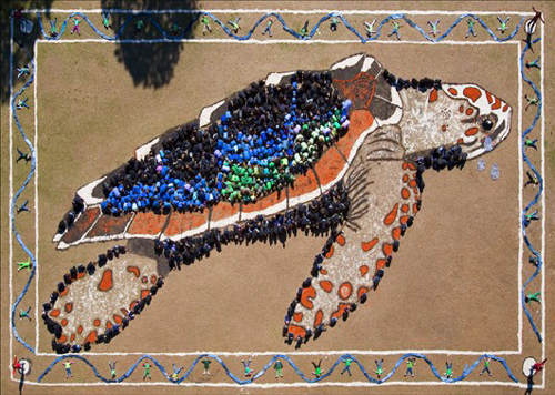 Art for the Sky: The Endangered Sea Turtle