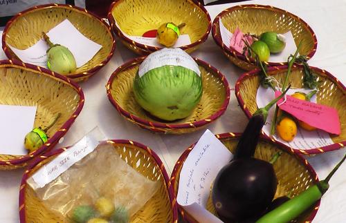 Brinjal Festival Showcases Diversity of Veggie in India
