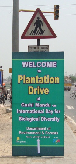Some Good for the City: Plantation Drive at Garhi Mandu on IBD 2009