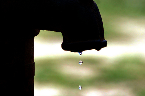 Blog Action Day Special: 25 Tips to Save Water