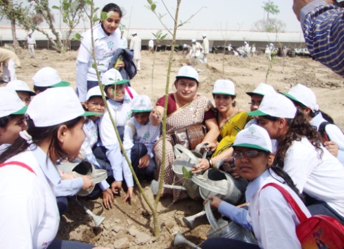 plantation on world water day