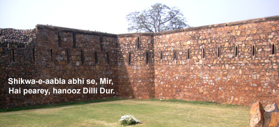 Discover Delhi: A Series of Excursions to the City of Cities by Delhi Greens