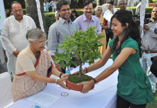 DoE to Celebrate World Environment Day at Garhi Mandu City Forest
