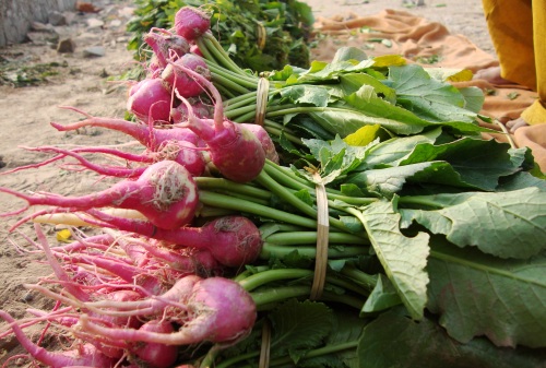 Vegetables along River Yamuna