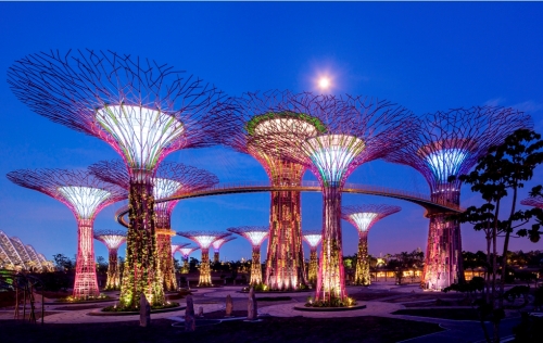 Supertrees at Gardens By The Bay