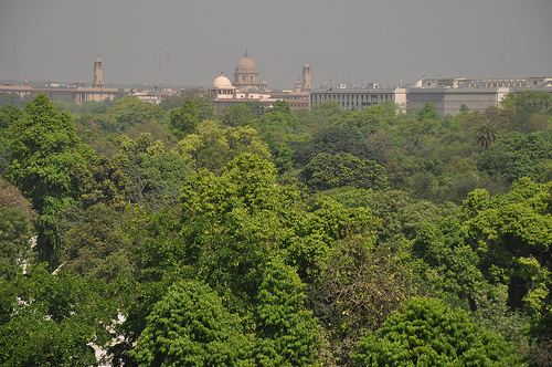 Saving the greens of Delhi