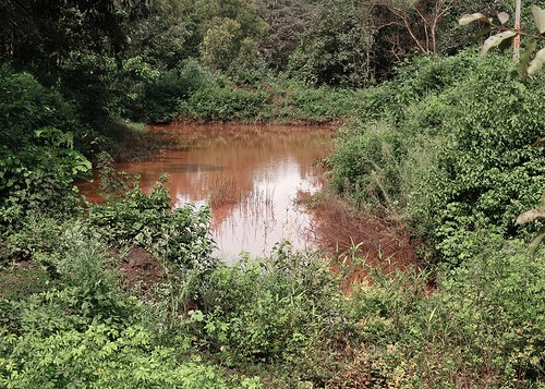Ambedkar University Invites Applications from Environmental Researchers for Mine Restoration in Orissa