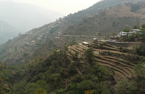 uttarakhand terrace farming