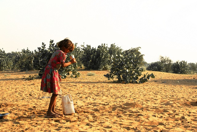 fighting-desertification-for-the-present-and-future-generations