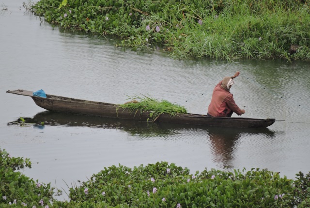 fishing-in-loktak-lake-manipur