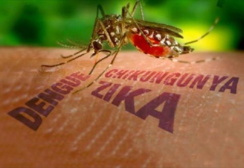 RB Pledges $1 Million Zika Relief Package to Fight the Virus
