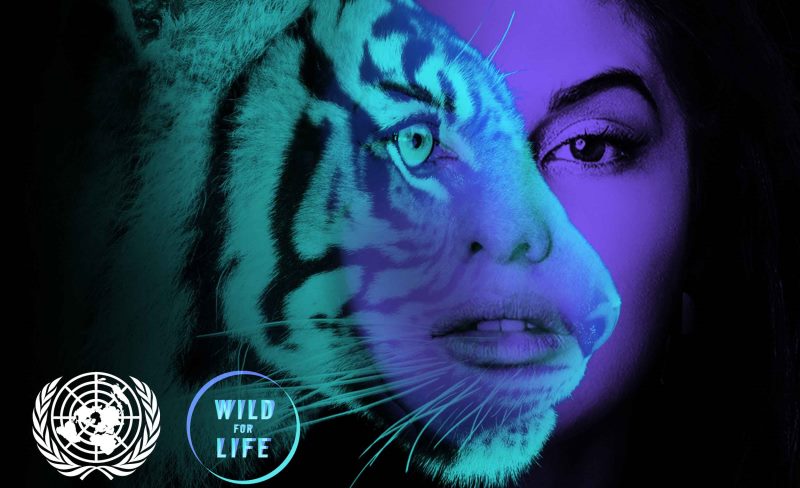 Join Jacqueline Fernandez in Her Fight to Protect the Tiger