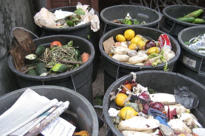 Wasting Food Akin to Carbon Crime