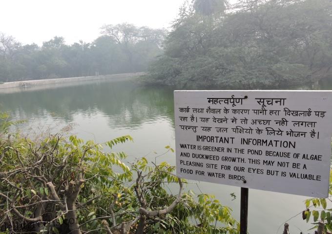 Importance of Wetlands and Their Conservation Challenges in Delhi