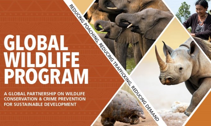 India to Host Global Wildlife Program to Address Illegal Wildlife Trade