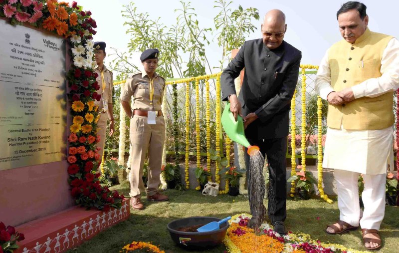 Planting a Tree to Remember the Iron Man of India – A Fitting Tribute