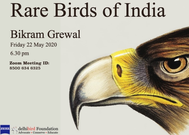 Webinar on Rare Birds of India