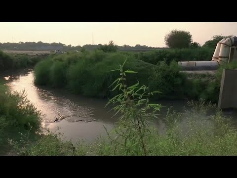 Watch: River Yamuna Cleaned by Coronavirus Lockdown