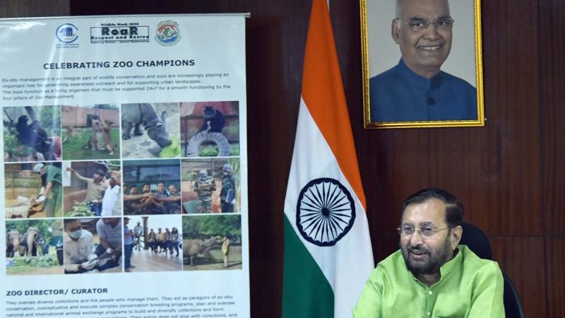 Environment Minister Celebrates Wildlife Week with Zoo Authority