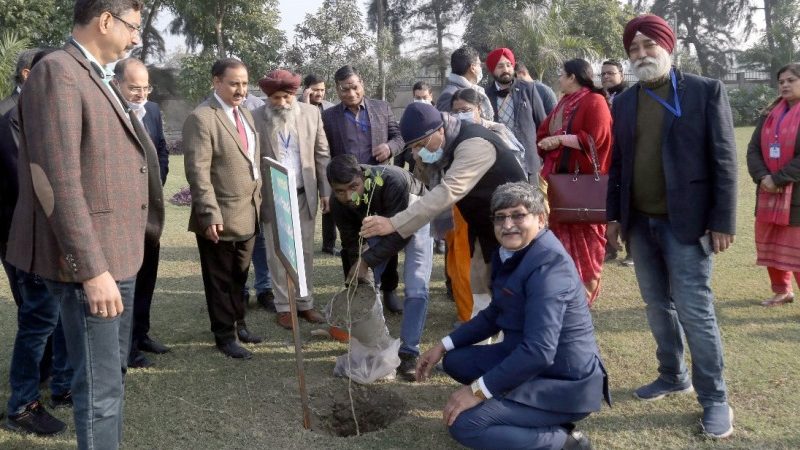 Tree Plantation by Union Minister for Steel