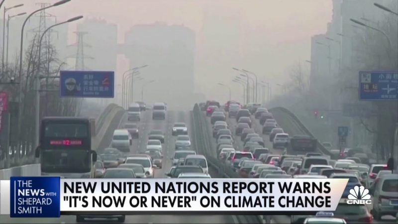 Watch: UN Climate Report Say Its Now or Never to Act