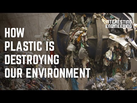 Watch: How plastic is destroying our environment