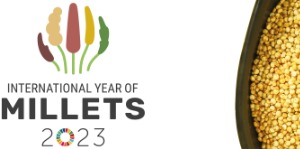 International Year of Millet 2023