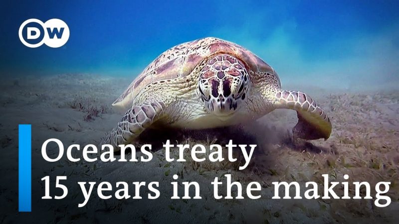 UN secures landmark Treaty for conserving marine biodiversity