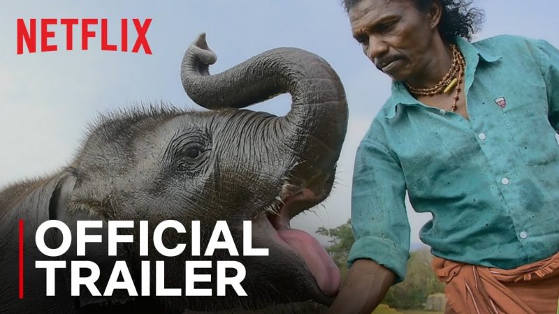 Watch Oscar Winning The Elephant Whisperers Trailer