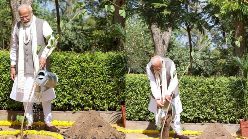 Prime Minister Narendra Modi Planting Sapling at Sabarmati Ashram