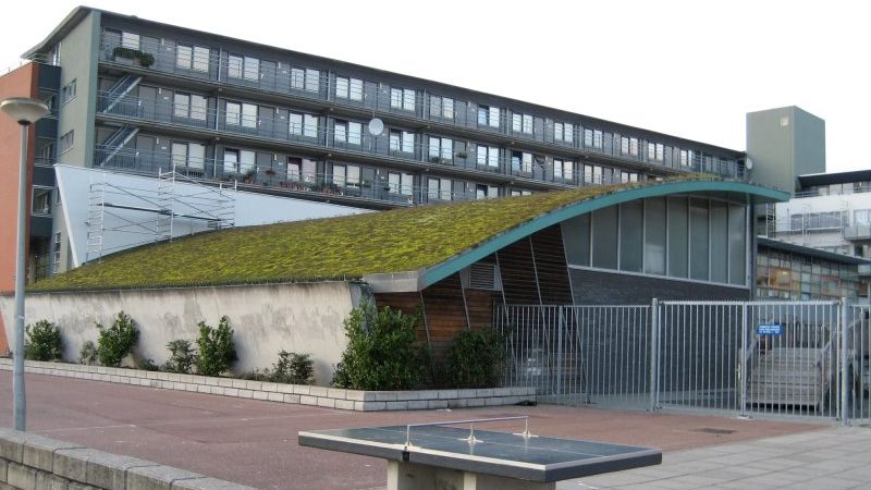 How sustainable are green roofs in Indian cities