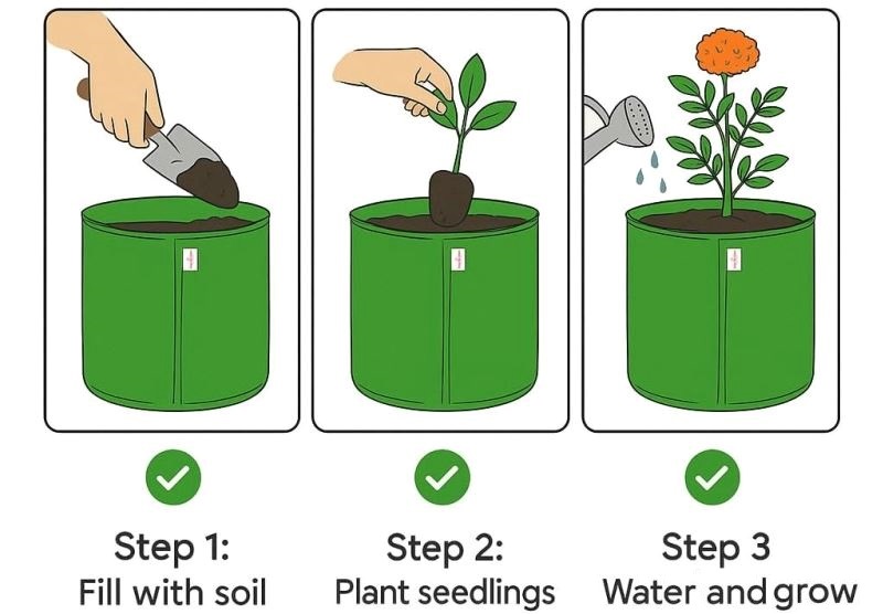 Casa De Amor Premium 12x12 inches HDPE pack of 5
