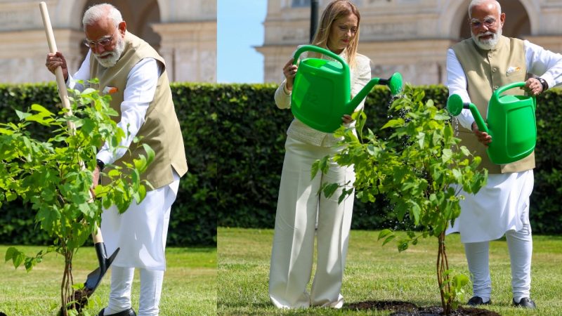 PM Modi and Italian PM Meloni Planting a Sapling