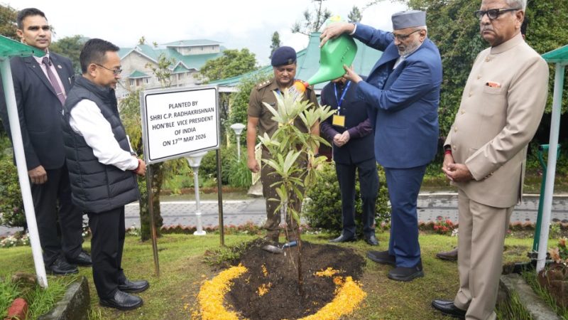 Vice President Plants Sapling in Gangtok